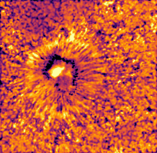 Temperature 1,236 km up (mean log τ −5) over the sunspot: a hot patch in the umbra, the umbral flash, inside a cooler ring, with radial fibrils around it.