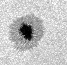 Observed intensity at the Fe I 630.2 nm continuum: the dark umbra, the filamentary penumbra around it, and granulation.